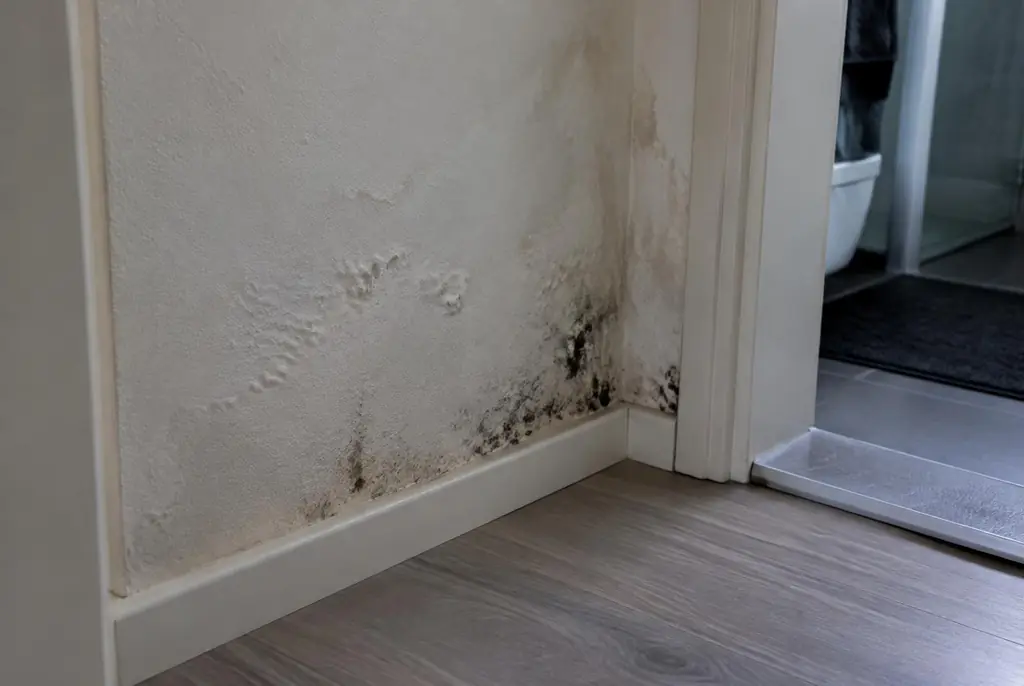 Lekdetectie Drunen – vochtplek met schimmel op een muur